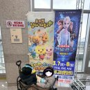 엄마까투리 | 제주 유치원엄마까투리 뮤지컬 후기