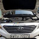 여시카센타 이미지