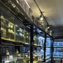 구로-구로-구로-1225 이미지