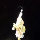 천보파트너스 이미지