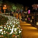 큐피드 푸드트럭 이미지