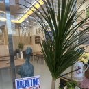 복어찬가 이미지