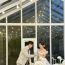 3탄.루엘스튜디오 온실촬영 후기 작가님추천, 코디추천(온실/나나)