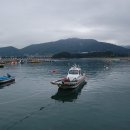 동광골프장 | 남해맛집 아난티남해 근처 동광횟집 직접 잡은 자연산 회 노포맛집