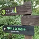 사려니숲길주차장 이미지