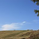 노송목장 이미지