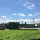 성읍리-9 이미지