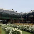 꽃향기정원 | [신라호텔 영빈관] 야외 웨딩 꽃향기 가득했던 꿈같은 결혼식 하객 후기