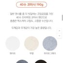 데이디어