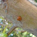 덕명농장 이미지