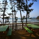 곰섬올레 이미지