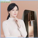 웰스라이팅