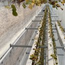 윤수농장 이미지