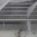 그린하우스 이미지