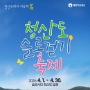청산도봄 | 완도 청산도 여행 후기|유채꽃 절정+배편 꿀팁 총정리(2026.04.05)