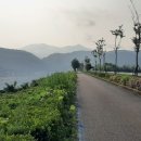 진월초등학교 이미지