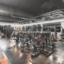 짐라이트 연희/연세대점 | 연희동헬스장 짐라이트 연희연세대점 완전 내 스타일❣️ 다녀온 후기 솔직히 말할게요!