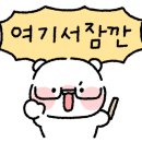 고고싱모터스 이미지