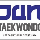 국가대표한국체대태권도장 이미지