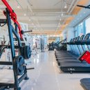 포짐 장기본점 이미지