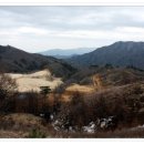 영계삼총사 이미지