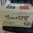 언니네텃밭 고성공동체 이미지
