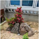 키즈풀숲 이미지