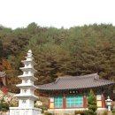 고단2리 Daum카페
