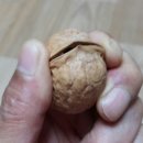 자담농장 이미지