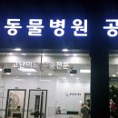 천호동물병원 이미지