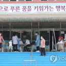 안양양지초등학교 이미지