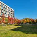 서울교육대학교 교육대학원 이미지