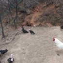 금단목장 이미지