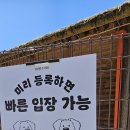 143 | 김해 댕댕파크 반려견 놀이터 실제 방문후기