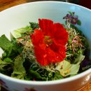 하루가평펜션 이미지