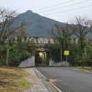 섬진강대나무숲길 | 추석연휴여행 ① 구례 섬진강대나무숲길(가는길, 주차장) / 현지인 추천 맛집 선미옥다슬기 수제비