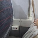 펫츠고트래블 | 펫츠고 2026 임실N펫스타 당일치기 나홀로여행 개힘듦 후기 - 혼자가지마세요