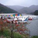 지례초등학교 이미지