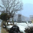 함평자연생태공원 이미지