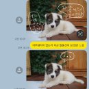 my october | What’s in my October days(2)