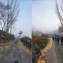 물안개피는호숫가펜션 이미지