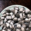 홍북식당 이미지