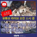 주식회사 이노바이오 이미지