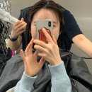 유이애견샵 | 성수동 미용실 머리잘하는곳 샵위드 성수본점 모발클리닉 후기 애견동반가능