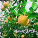 목인농장 티스토리