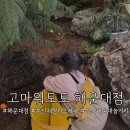 치킨토토 | 부산 고마워토토 해운대점 ㅣ 부산 해운대 기장 키즈카페 체험형 놀거리 고마워토토 방문 후기