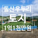 돌산공인중개사사무소 이미지
