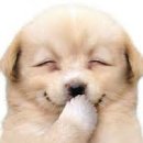 본스튜(산본점) 이미지