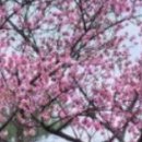 홍재상사 | 정지상(鄭知常)의 시 - 송인(送人)1 임을 송별함1