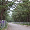 맹방해변로 이미지